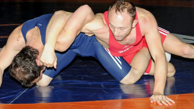 bindlach2010a
